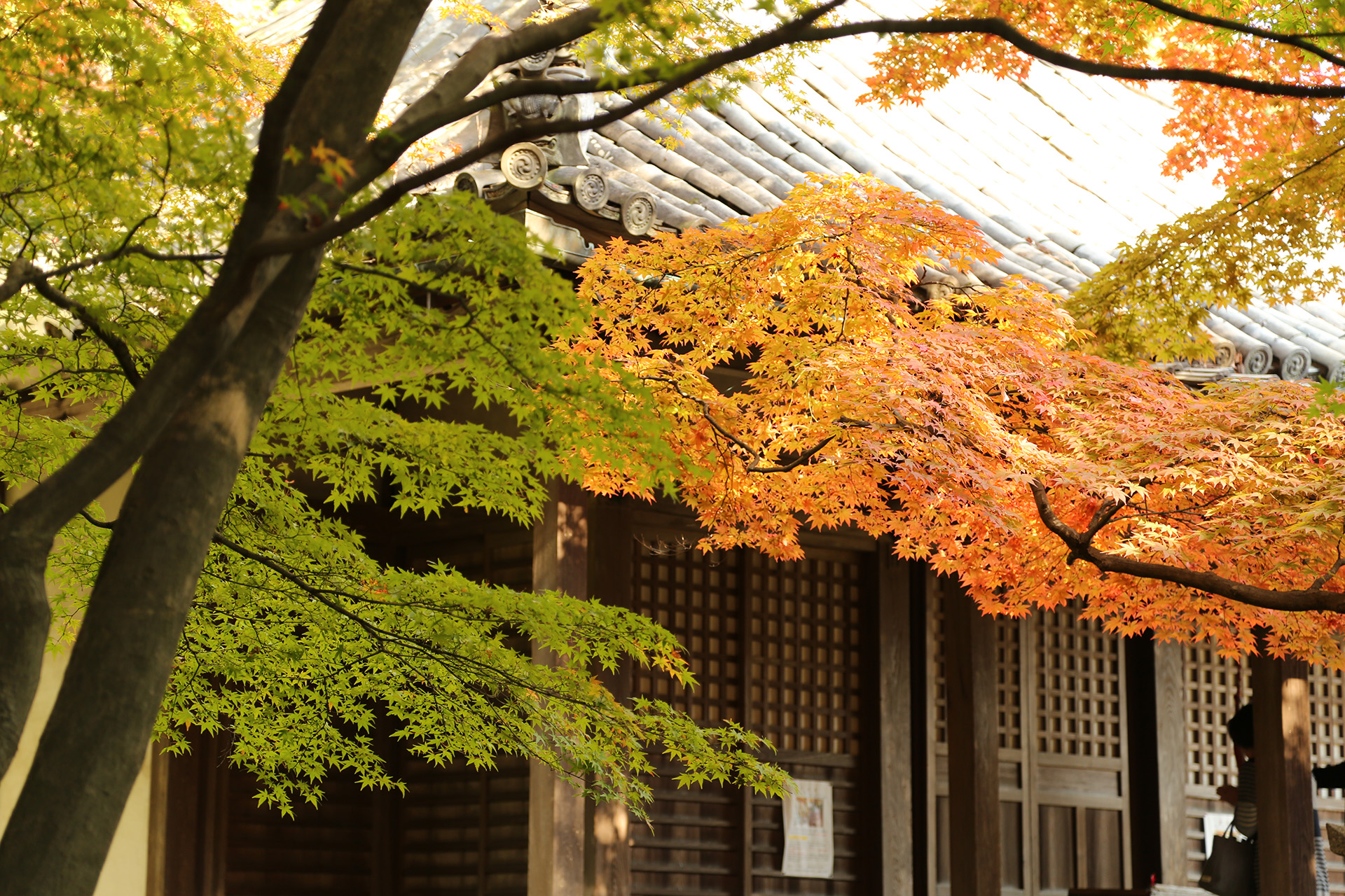 大門寺の風景イメージ画像
